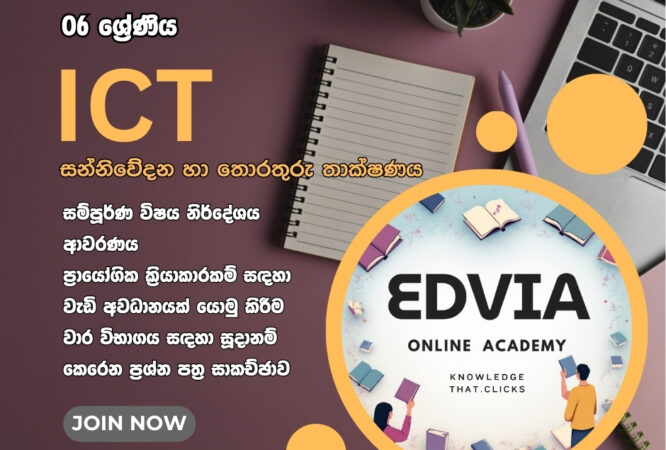 Edvia ICT Grade 6