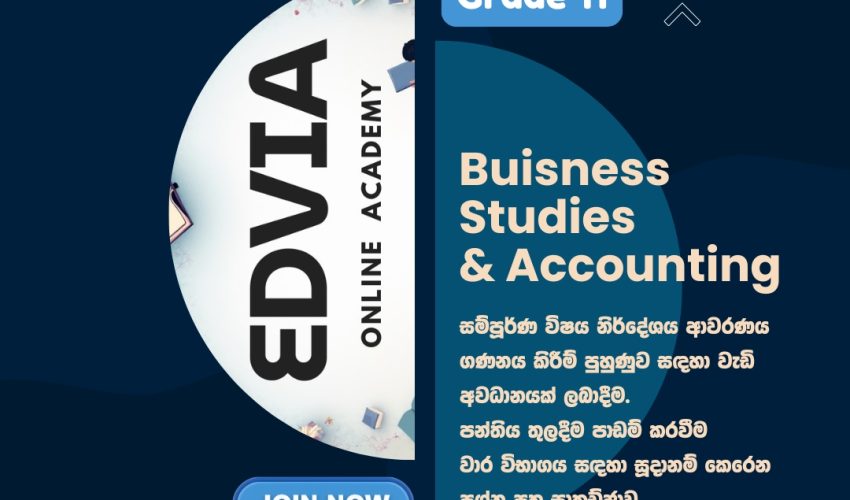 Edvia Business Studies Grade 11
