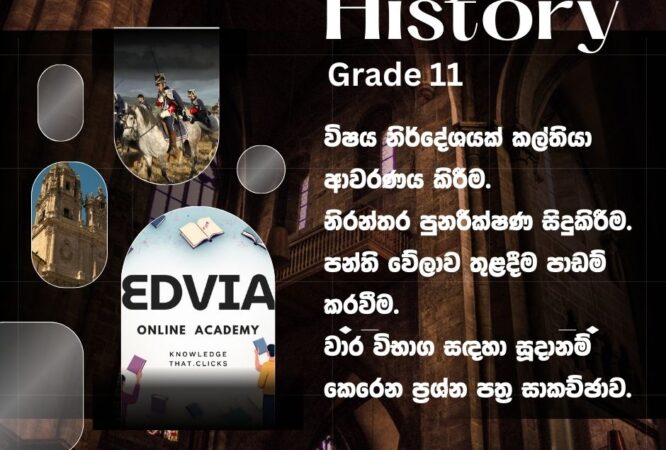 Edvia History Grade 11