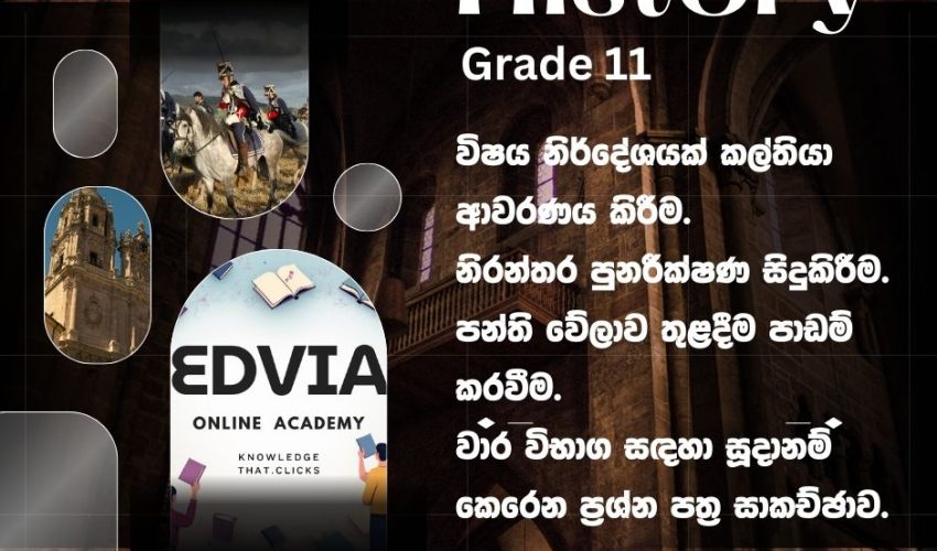 Edvia History Grade 11
