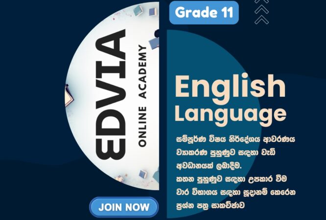 Edvia English Grade 11
